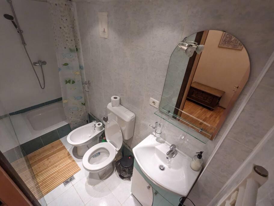 Boheme Central Apartment Timisoara Bagian luar foto